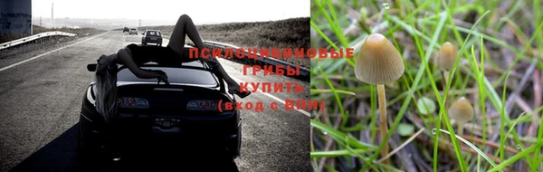 хмурый Куйбышев