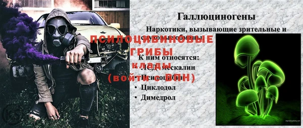 хмурый Кулебаки