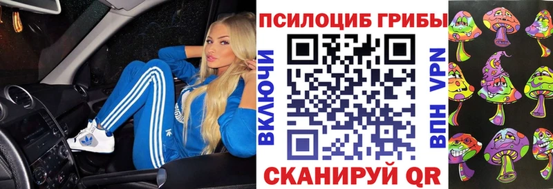 Псилоцибиновые грибы прущие грибы  Моршанск 