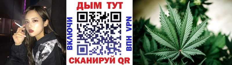 где найти Моршанск Конопля OG Kush